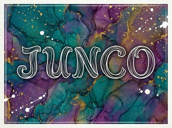 Junco Font Review